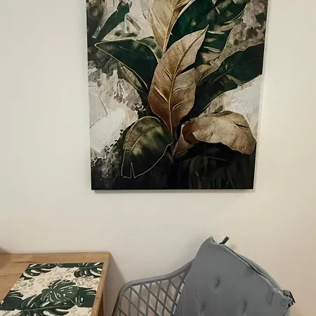 Apartamento Leaf Breslavia